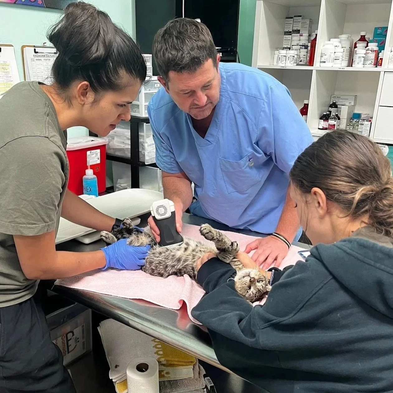 564728099_18534892462028059_7710059782388071427_n.jpg (Copy)