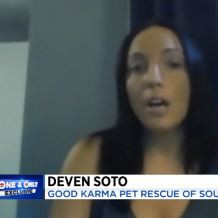 Hollywood man facing animal abuse charges after dog found in horrible condition