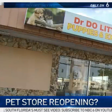 ‘Heartbreaking': Pet Store Shut Down After Animals Found Living in Filth May Reopen