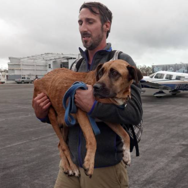 United in hurricane disaster: Dog, cat and bunny arrive in South Florida from the Bahamas