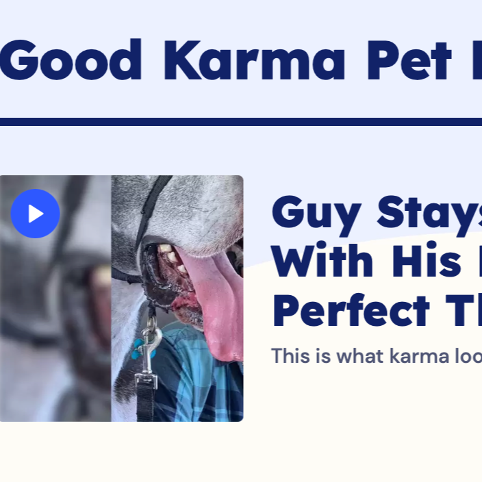 Guy Stays Behind In Hurricane With His Dogs — And The Most Perfect Thing Happens