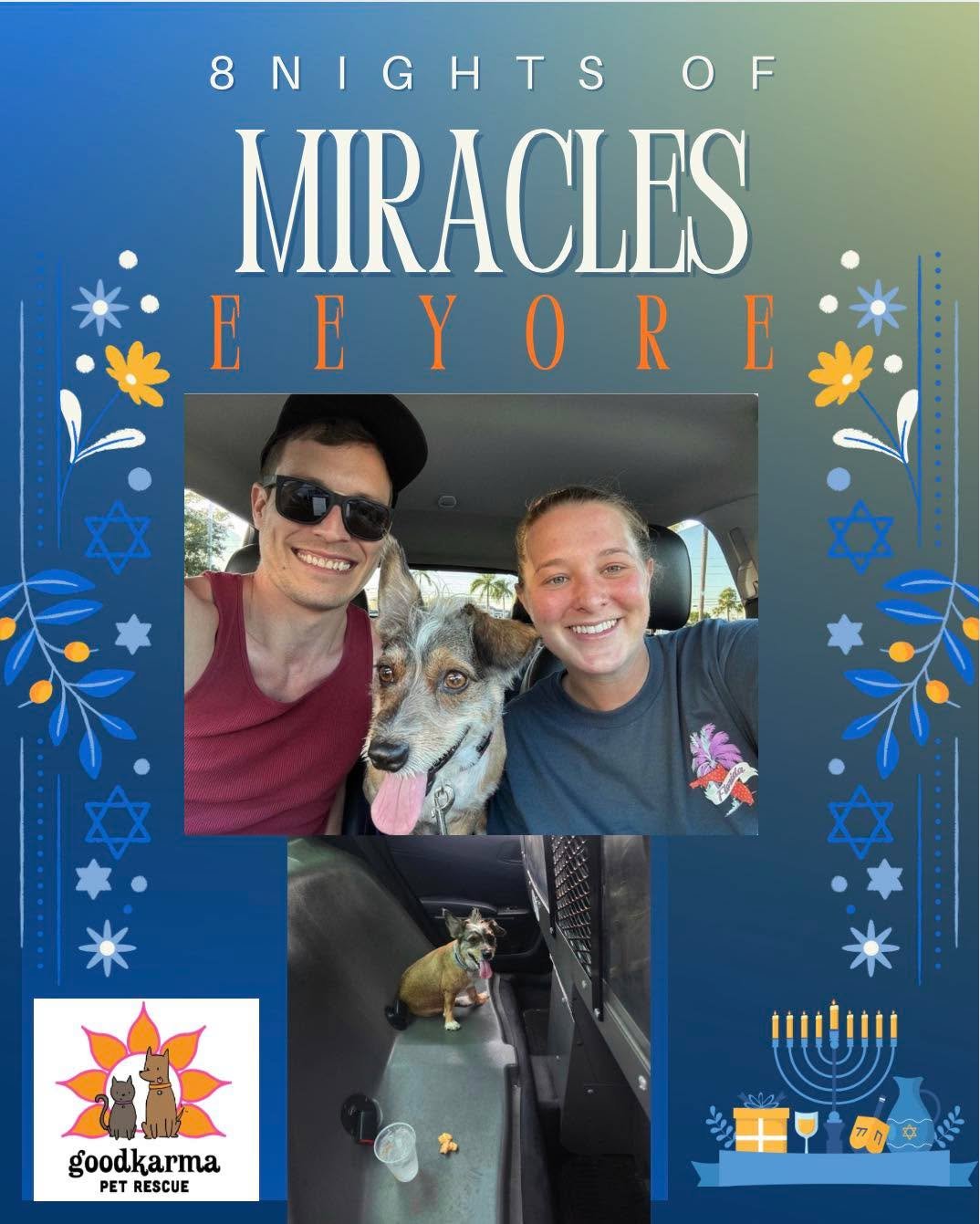 🕎 Night 3 of 8 Nights of Miracles
✨ Eeyore&rsquo;s Reunion ✨

On a day when the county shelter was closed and there was nowhere else to turn, a local police department reached out to us with an urgent call.

Inside a parked van, they found a dog.

H