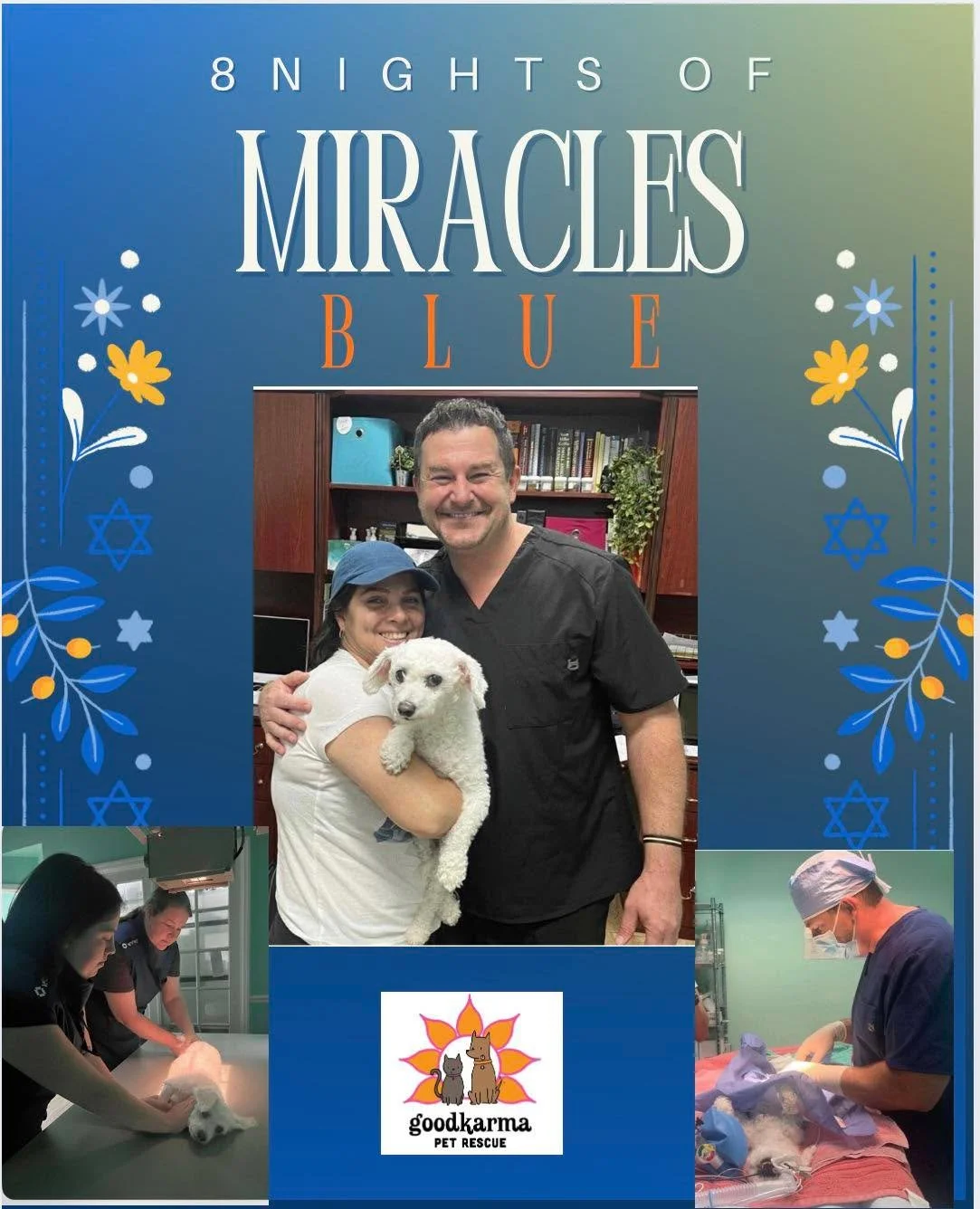🕎 8 Nights of Miracles | Night Two
✨ Blue&rsquo;s Miracle: Happier at Home ✨

On the second night of Hanukkah, we&rsquo;re sharing the miracle of Blue&mdash;a reminder that sometimes the greatest rescue is keeping a family together. 💙

Blue is deep
