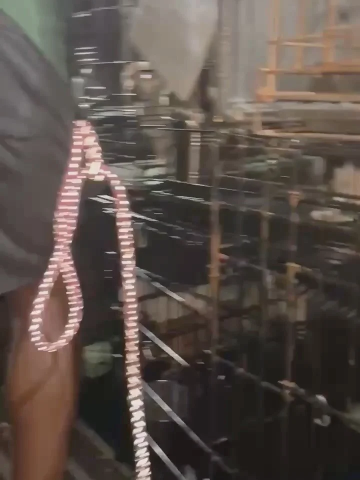 ✨ Rescue never sleeps&hellip; ✨

The other night, our team and fosters jumped into action to bring 2 mama dogs and their litters to safety &mdash; 18 dogs total 😱

Tiny paws, tired mamas, and a whole lot of relief once they were finally safe 💕 None