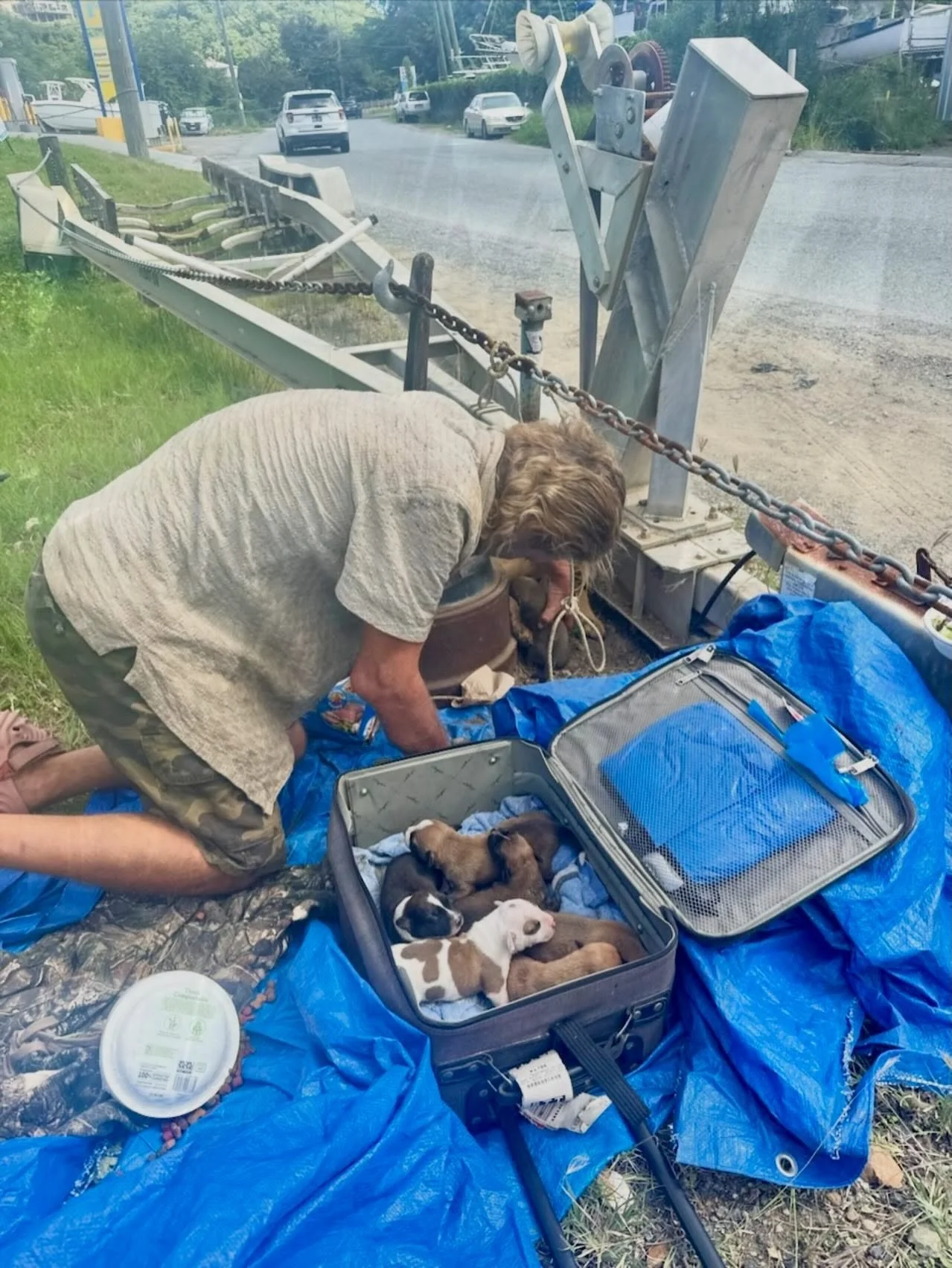 We welcomed our first puppies from this litter this week from our rescue partner Pets with Wings in the Virgin Islands. 

Yep, this man who is living on the street has a dog who had puppies and his only way to keep them safe was to keep them in a sui