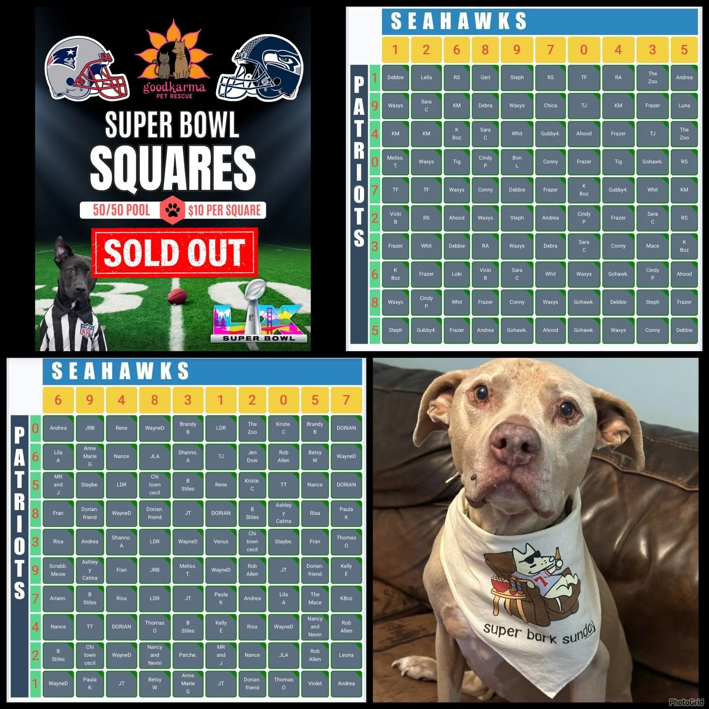 🏈✨ SUPER BOWL SQUARES SHOUT-OUT! ✨🏈

A huge THANK YOU to everyone who entered our Super Bowl Squares fundraiser! 🐾💙
Because of YOU, we raised $1,000 for rescue animals 🎉🐶🐱

The game is officially ON and we&rsquo;re cheering for lucky numbers a
