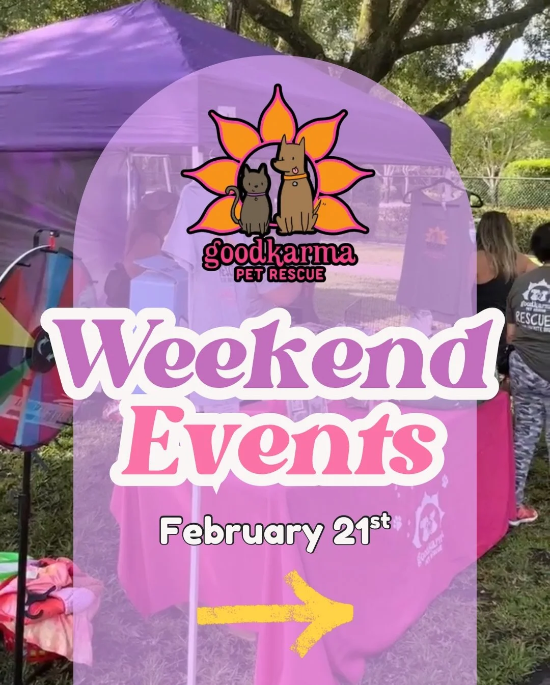 🎉🐾 THIS SATURDAY = THREE CHANCES TO MEET YOUR SOULMATE 🐾🎉

We&rsquo;re bringing the adoptable cuties to not one&hellip; not two&hellip; but THREE events on Saturday, February 21st! 💛

✨ 1️⃣ PetSmart Charities Adopt Joy Event
🕛 12PM&ndash;3PM
📍