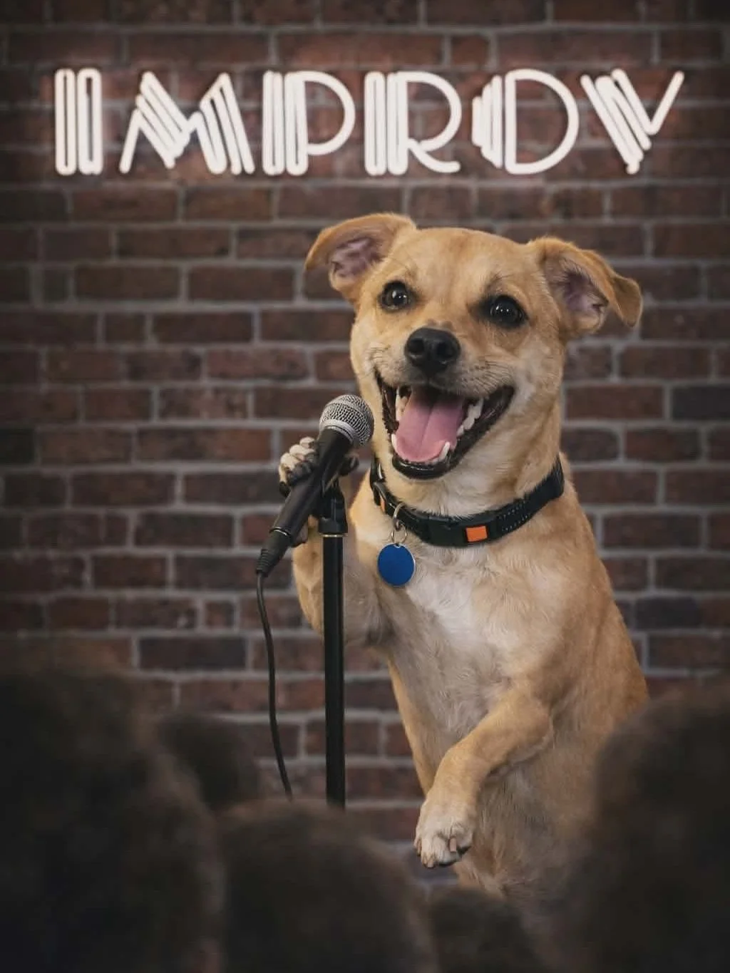 🎤 The Many Lives of Hero &ndash; Week 3: Stand-Up Comedian

&ldquo;I&rsquo;ve tried Super Bowl Player.
I&rsquo;ve tried Olympic Sports Superstar.
Now I&rsquo;m trying Stand-Up Comedian.

Still waiting for an application&hellip;

&hellip;At this poin