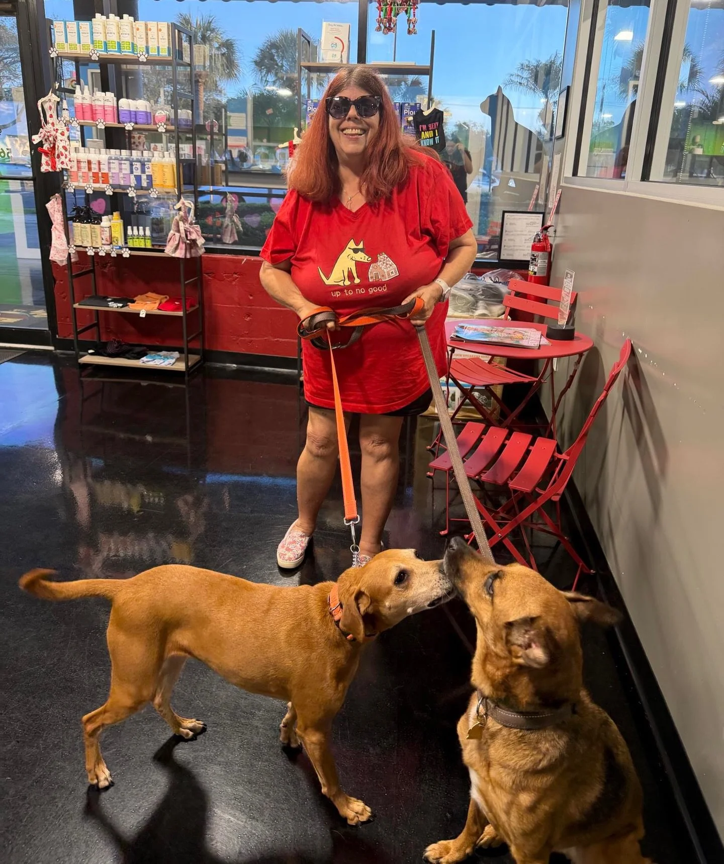 Shoutout to our amazing Volunteer &amp; Board Member Nancy 💛🐾

Nancy was spotted rocking her @teddythedogapparel while dropping off her two GKPR alums for a doggy daycare day at @innthedhlakeworth 🐶🎾

Nancy has been part of our rescue family for 