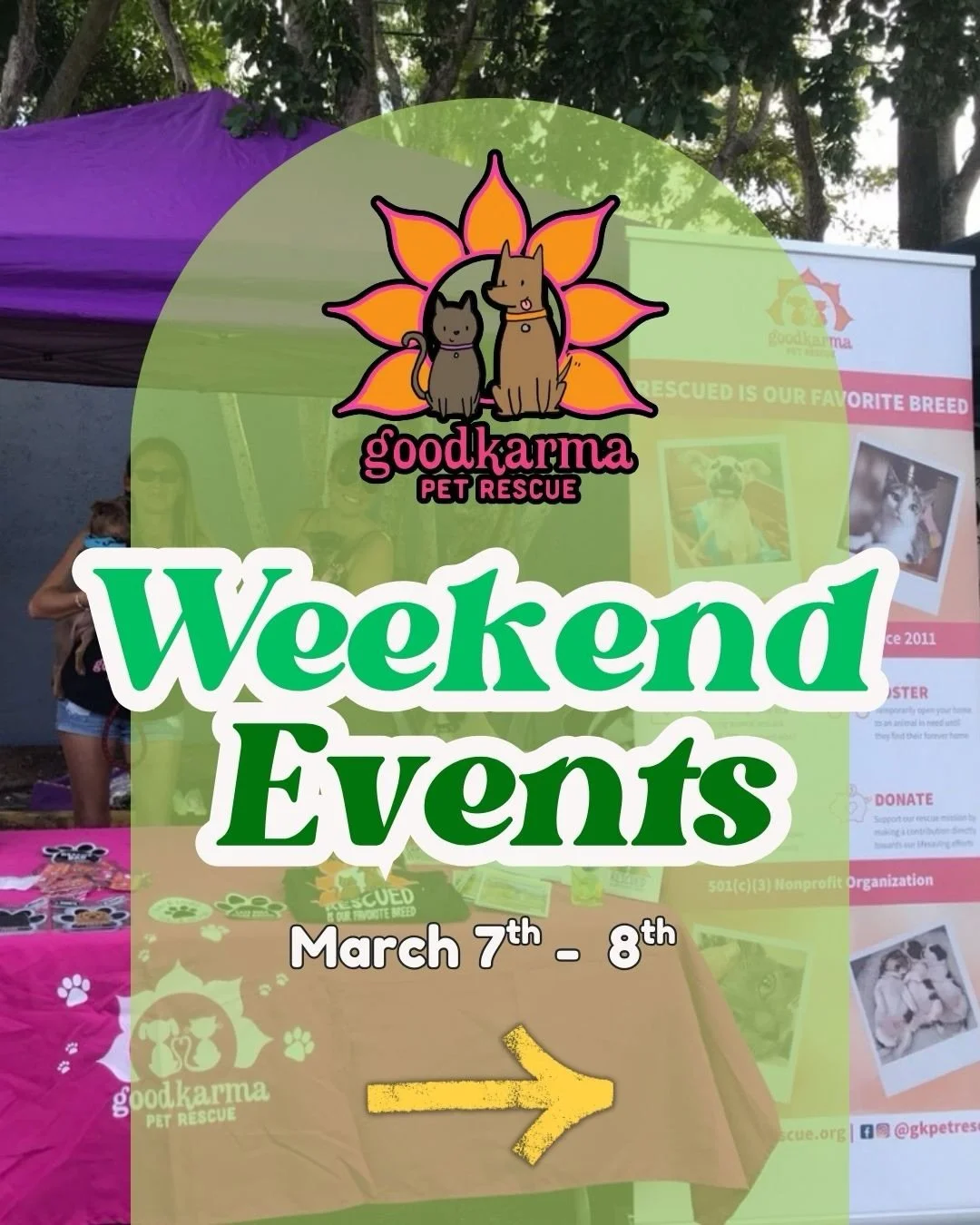🐾 ADOPTION WEEKEND IS HERE! 🐾
Looking for your new best friend? We&rsquo;ve got THREE chances this weekend to meet some amazing adoptable pets! 💚

📍 Saturday | 10 AM &ndash; 1 PM
Come see us at the Cooper City Dog Adoption Event at
Michael D. Rio