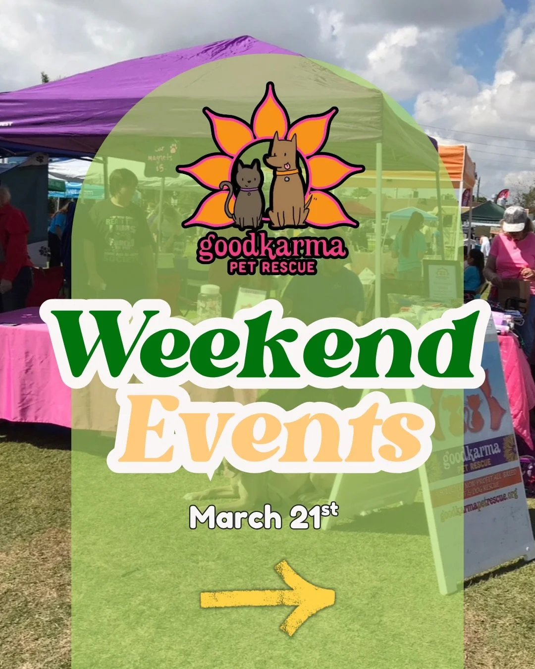 🌴🐾 It&rsquo;s an ADOPTION kind of Saturday!! 🐾🌴

We&rsquo;ve got THREE chances today to meet your new best friend&hellip; so no excuses 👀💛

✨ Where to find us today:

🌿 Everglades Experience
📍 Bergeron Rodeo Grounds, Davie
⏰ 10AM&ndash;2PM (e