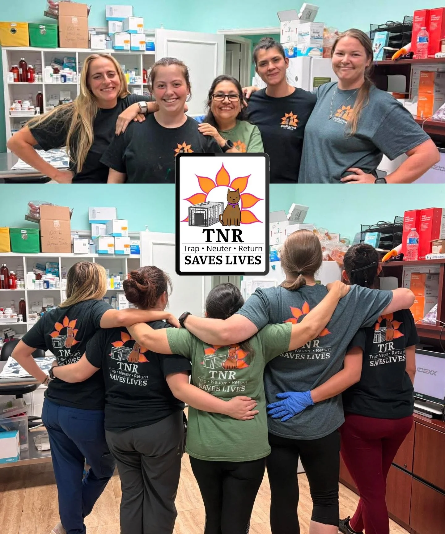 ✨ The TNR Effect ✨
This is what happens when a community shows up for its cats 🐾

Every single week, community members are out there doing the incredible work of humanely trapping cats&mdash;and our team is here to support them every step of the way