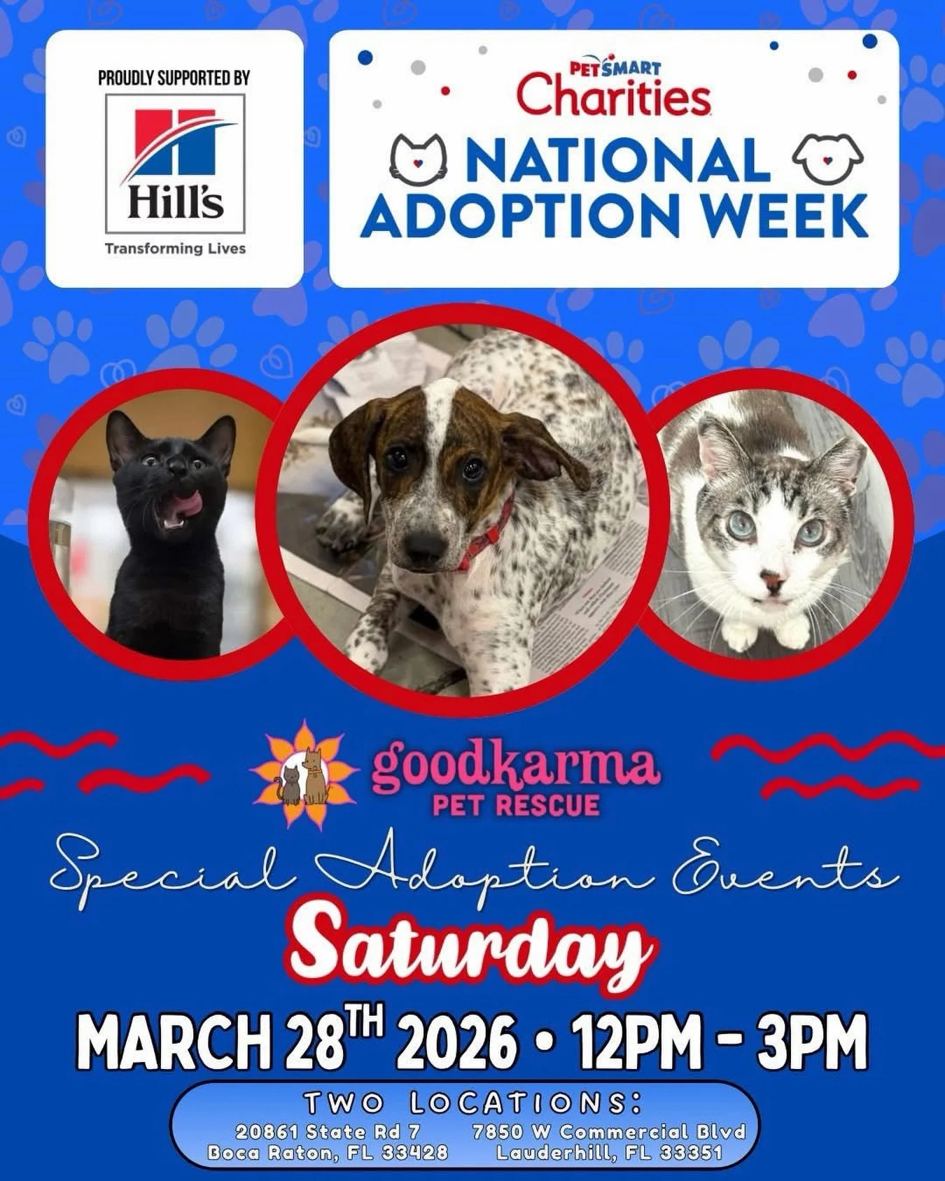 🎉🐾 Special Adoption Event THIS Saturday! 🐾🎉

We&rsquo;re teaming up with PetSmart Charities for National Adoption Week&mdash;and we&rsquo;re bringing some seriously adorable faces with us! 😍🐶🐱

📆 Saturday, March 28th
🕛 12PM &ndash; 3PM
📍 TW
