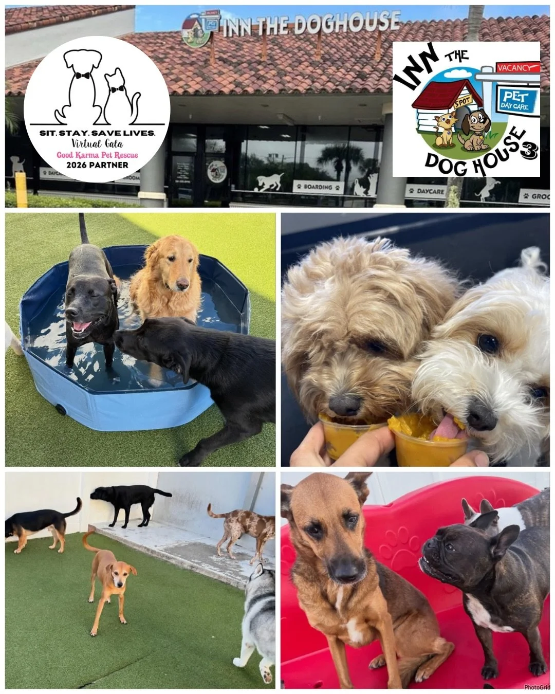 Mark your calendars&hellip; our 4th Annual Virtual Gala &bull; Silent Auction &amp; Raffle is right around the corner! 🎉🐾 Get ready for 3 nights of couch-side bidding, amazing prizes, and lifesaving impact happening April 24&ndash;26!

📲 Check it 