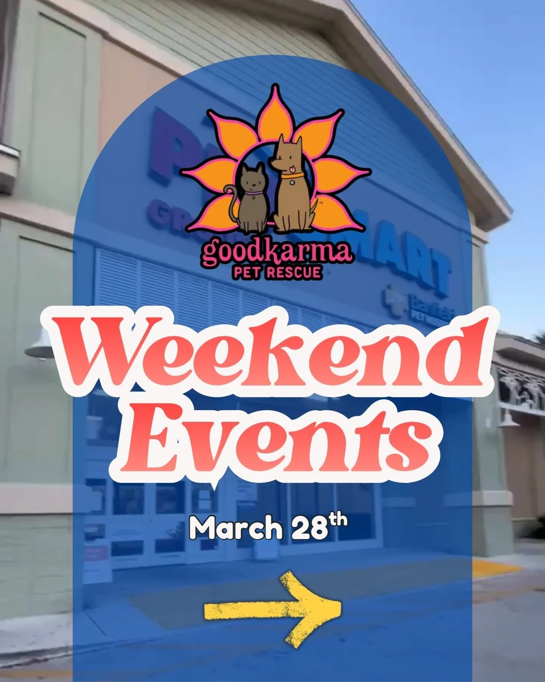 🎉🐾 HAPPENING TODAY &mdash; 3 EVENTS, 3 LOCATIONS! 🐾🎉

It&rsquo;s National Adoption Week and we&rsquo;ve got THREE chances to meet your new best friend today 👇

⸻

🐶💙 ADOPTION EVENT &ndash; BOCA RATON
🕛 12PM &ndash; 3PM
📍 20861 State Rd 7

🐶