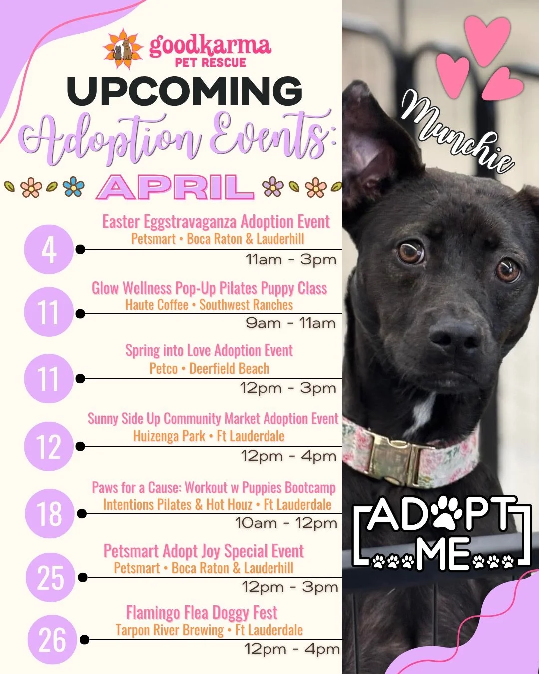 🐶😸✨ Warning: attending any of these events may result in going home with a new furry best friend&hellip;

We&rsquo;ve got SO many chances this month to meet your perfect match&mdash;from markets to puppy Pilates to full-on doggy festivals 🐾💛

Her