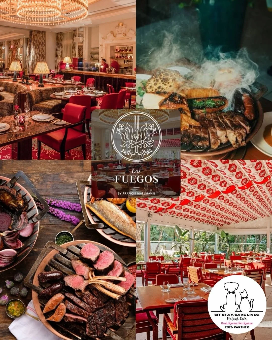 🌴✨ Gala Donor Highlight: Miami Dining ✨🌴

Miami is bringing the flavor 🔥🍽️

⏳ Only 18 days until the auction &amp; raffles begin!

A huge thank you to these incredible businesses for donating to this year&rsquo;s Virtual Gala 💛 If you&rsquo;re l