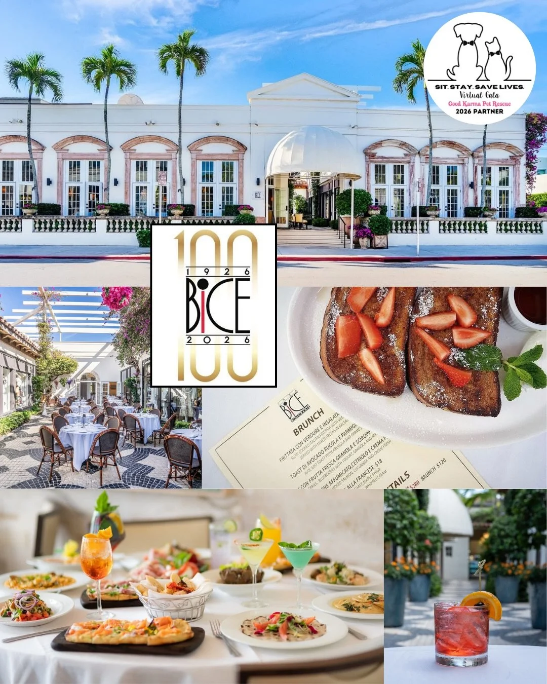🌴✨ Gala Donor Highlight: Palm Beach County Dining ✨🌴

Palm Beach foodies&hellip; this one&rsquo;s for you 😍🍴

We&rsquo;re so grateful to these local spots for being part of this year&rsquo;s Virtual Gala 💛 Be sure to show your support&mdash;foll