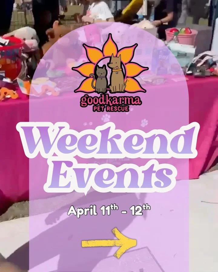 🌸🐾 SPRING INTO LOVE &mdash; ADOPTION WEEKEND! 🐾🌸

Looking for something to do this weekend? How about meeting your new best friend&hellip; 👀💛

We&rsquo;ve got adoptable pups &amp; kitties out ALL weekend long at multiple locations!

✨ SATURDAY,