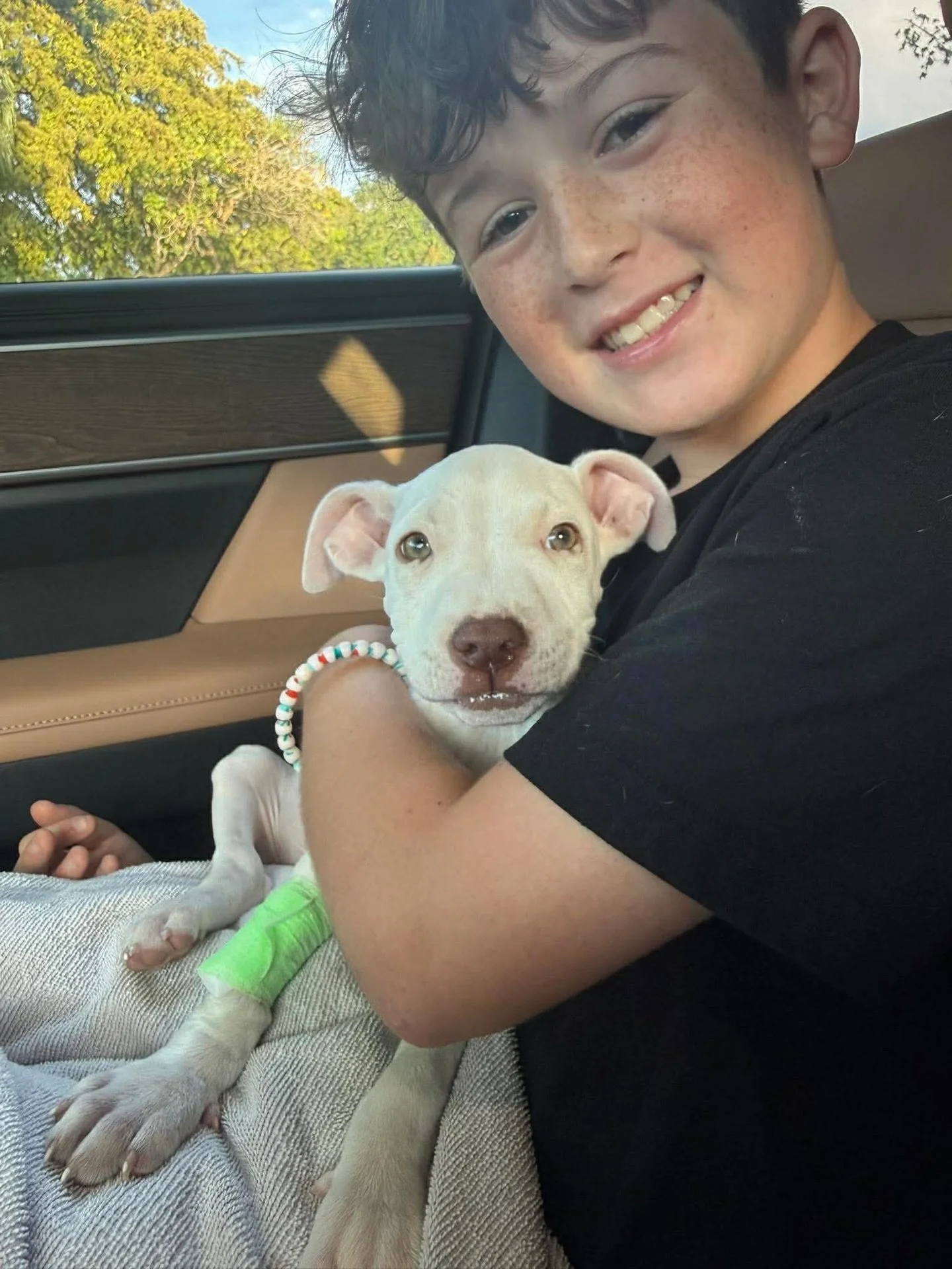 🚀🐾 Parvo Puppy Update: Meet Astro 🐾🚀

Because of YOU&hellip; this sweet boy is fighting 💛

We are so incredibly grateful to everyone who donated, shared, commented, and showed up for this puppy. Your support truly made it possible for us to say 