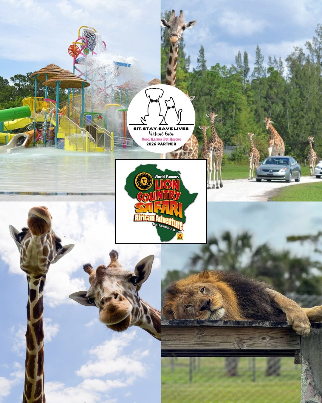 🎟️🌴 GALA DONOR HIGHLIGHTS: ZOO &amp; MUSEUM ADVENTURES 🦁🦋

Looking for something fun to do with the family&hellip; or just want an excuse to explore South Florida like a tourist for a day? 👀 We&rsquo;ve got you covered!!

A HUGE thank you to the