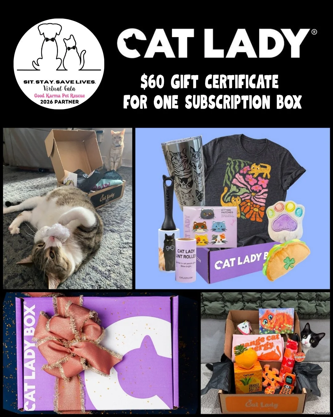 🐱✨ CALLING ALL CAT PEOPLE&hellip; this one&rsquo;s for you ✨🐱

If your idea of a perfect weekend involves cats, cozy vibes, and spoiling your fur babies&hellip; you&rsquo;re about to have WAY too much fun browsing these 😍👇

Our Virtual Gala aucti