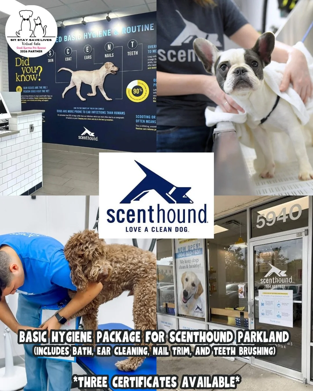 ✨ Fresh, Clean &amp; Feeling Like a Million Bucks ✨

Our Pet Grooming &amp; Wellness Donors are coming THROUGH with everything your pets need to look good, feel good, and stay healthy 💛🐶🐱

From spa days to dental care to wellness goodies&hellip; t