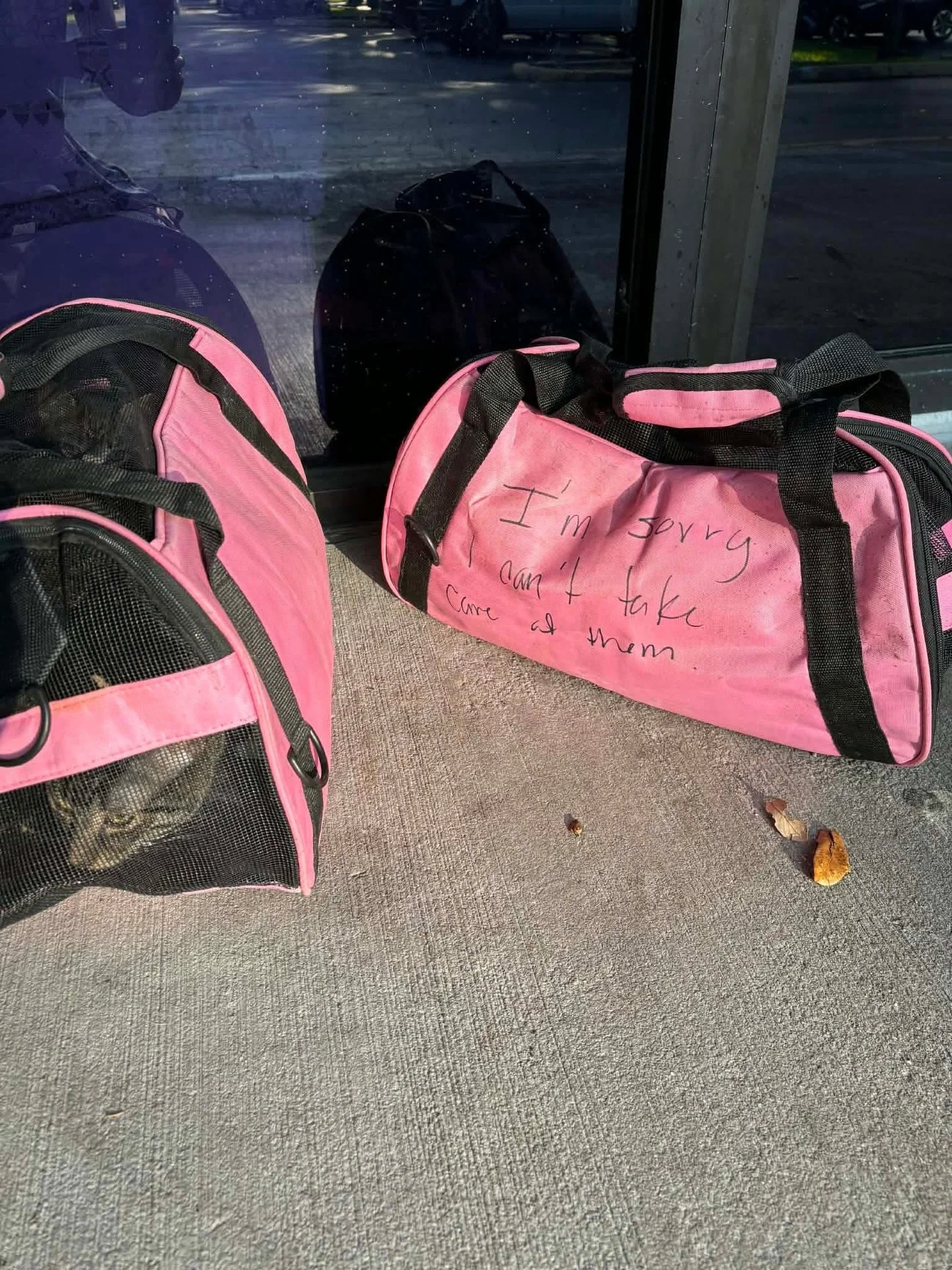 Before you say it &mdash; we already know.

We&rsquo;ve heard it before: &ldquo;At least they brought them somewhere safe. Don&rsquo;t shame them.&rdquo;

But you need to understand something&hellip;

We are NOT an open-admission public shelter. We d