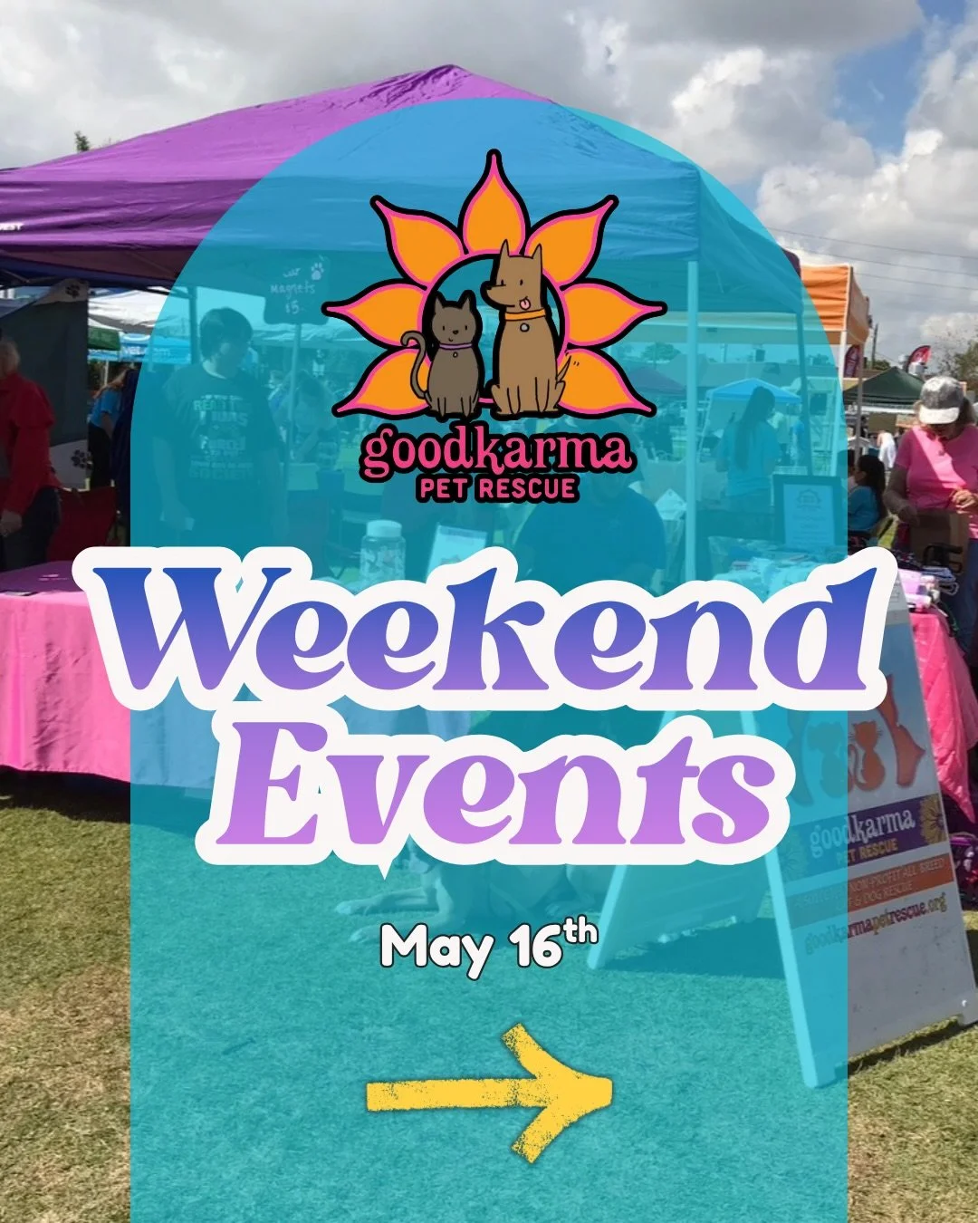 🐾 DOUBLE THE EVENTS = DOUBLE THE CUTENESS 🐾
We&rsquo;ve got TWO adoption events happening TODAY and you don&rsquo;t want to miss either one!! 💛✨

⸻

🐶 HOMES FUR DOGS EXPO 🐾
📆 Saturday, May 16, 2026
🕘 9:00 AM &ndash; 12:00 PM
📍 Barkland Dog Pa