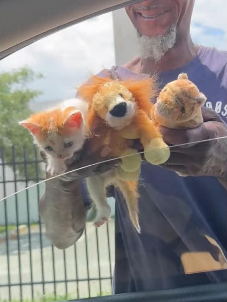 Sometimes rescue looks a little&hellip; unconventional.

This tiny kitten?
Saved with a case of beer and a pack of cigarettes 😅

Not exactly how we planned our day&mdash;but when you&rsquo;re faced with a situation where someone can&rsquo;t care for