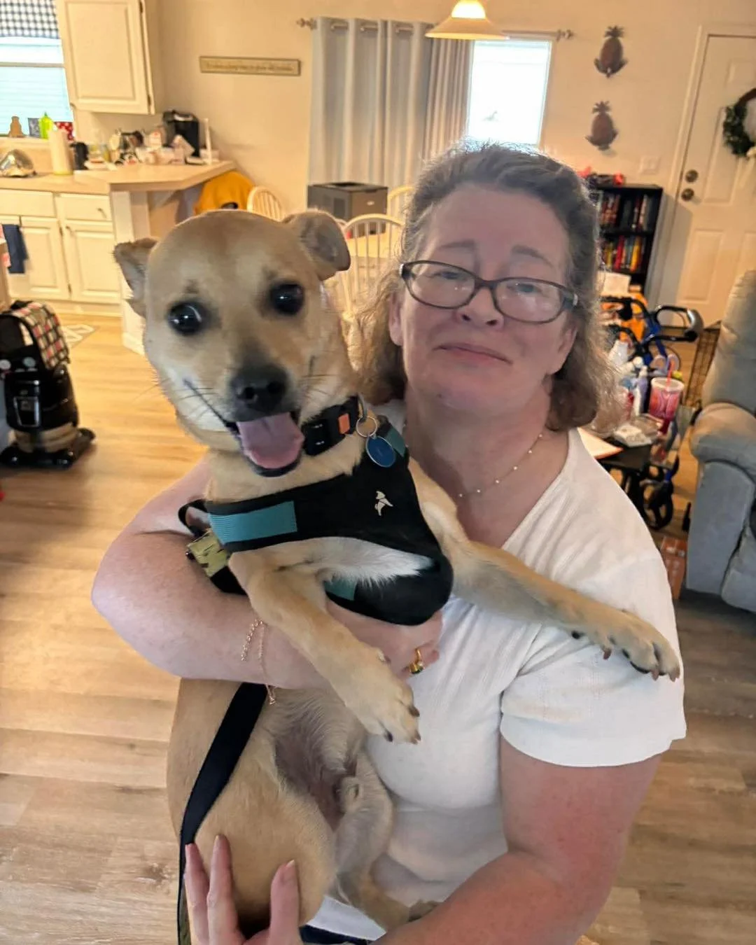 HE DID IT!!! 🥳🐾

After 622 days&hellip; Hero is officially ADOPTED 💛

If you&rsquo;ve been following Hero&rsquo;s journey, you know just how long this road has been. Hero was returned to our rescue back in August 2024, and for over a year and a ha