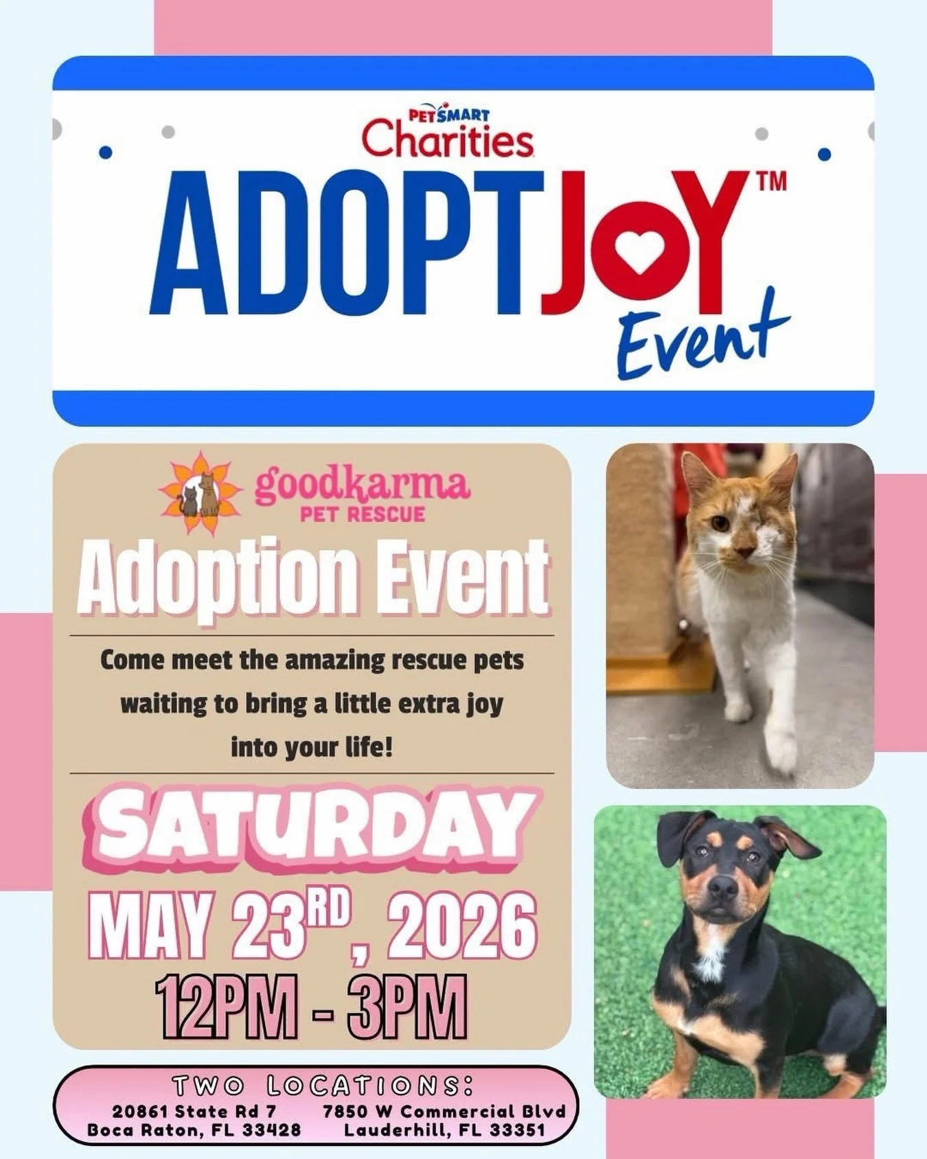 ADOPT JOY this Saturday 🐾💛

We&rsquo;ll be at TWO locations with some of our amazing adoptable dogs &amp; cats who are ready to find their forever homes 🥹✨

Whether you&rsquo;re looking to adopt, thinking about fostering, or just want to come by a