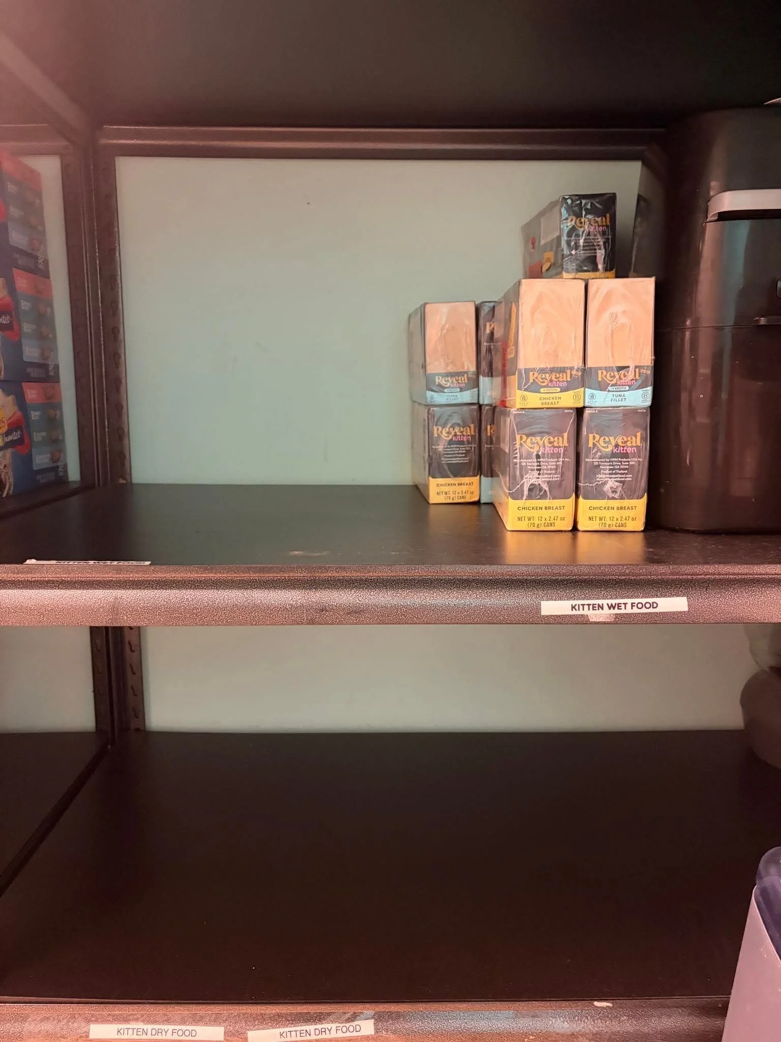 🚨🐱 KITTEN SEASON = EMPTY SHELVES 🐱🚨

Our kitty wet food supply is running critically low 😿

Right now, we have 182 kitties in our care (and that doesn&rsquo;t even include the newest intakes waiting to be entered into our system). Tiny bellies d