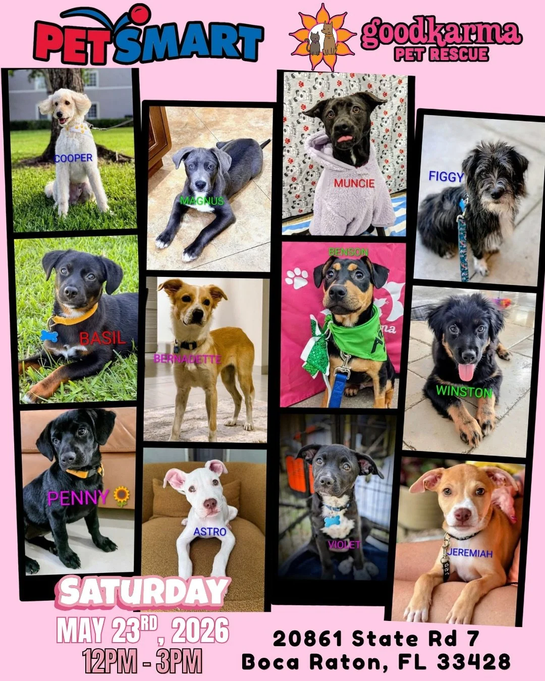 🐾💖 PETSMART CHARITIES ADOPT JOY EVENT &mdash; TODAY! 💖🐾

Today&rsquo;s the day 🥳 Come spend your afternoon with us and meet some of the sweetest rescue pups and kitties who are ready to find their forever homes 🥹🐶🐱

We&rsquo;re popping up at 