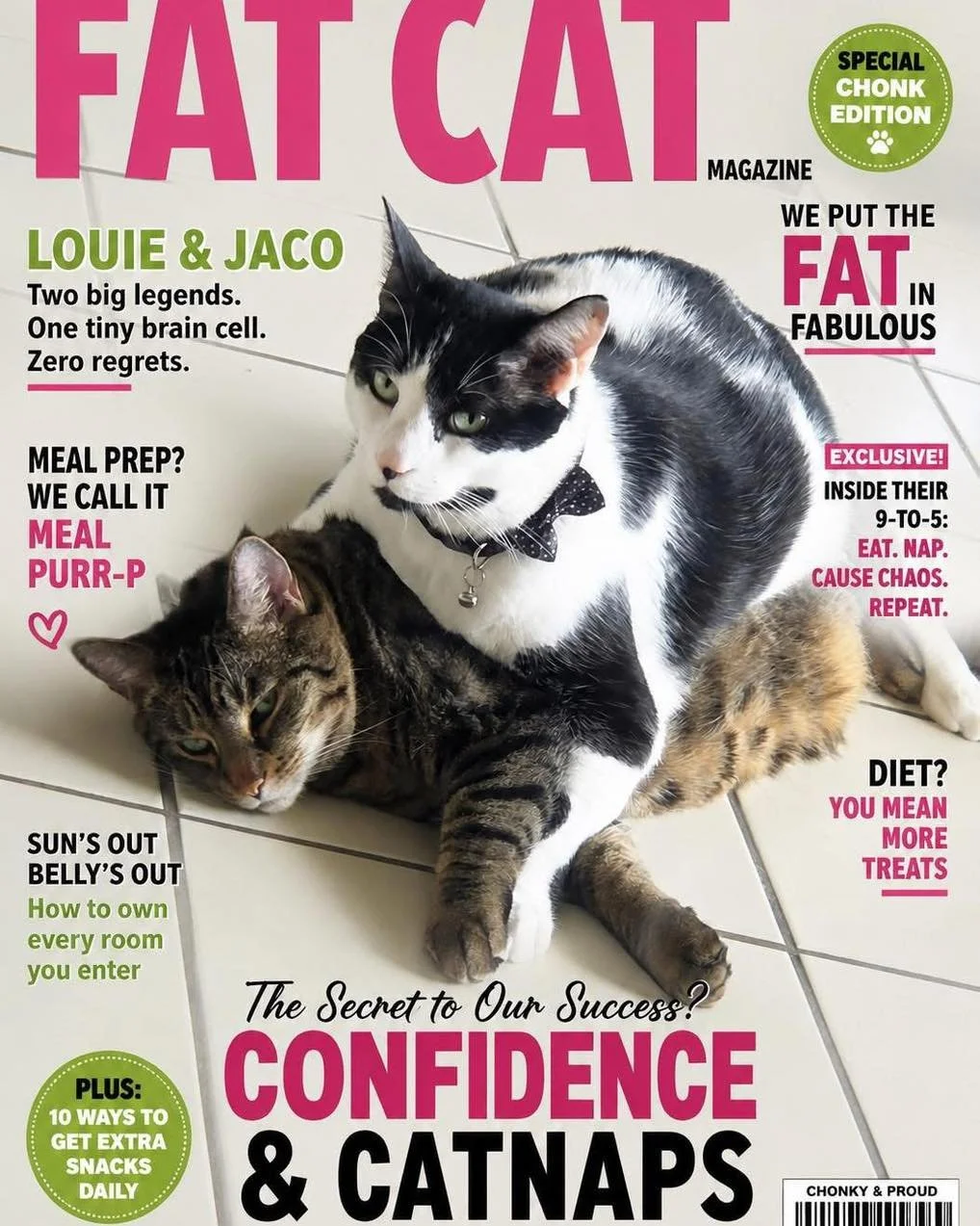 You guys,
Straight off the cover of FAT CAT Magazine, these two certified snack inspectors are searching for a forever home big enough for their personalities&hellip; and their &ldquo;winter bodies.&rdquo; Louie believes personal space is a myth. Jac
