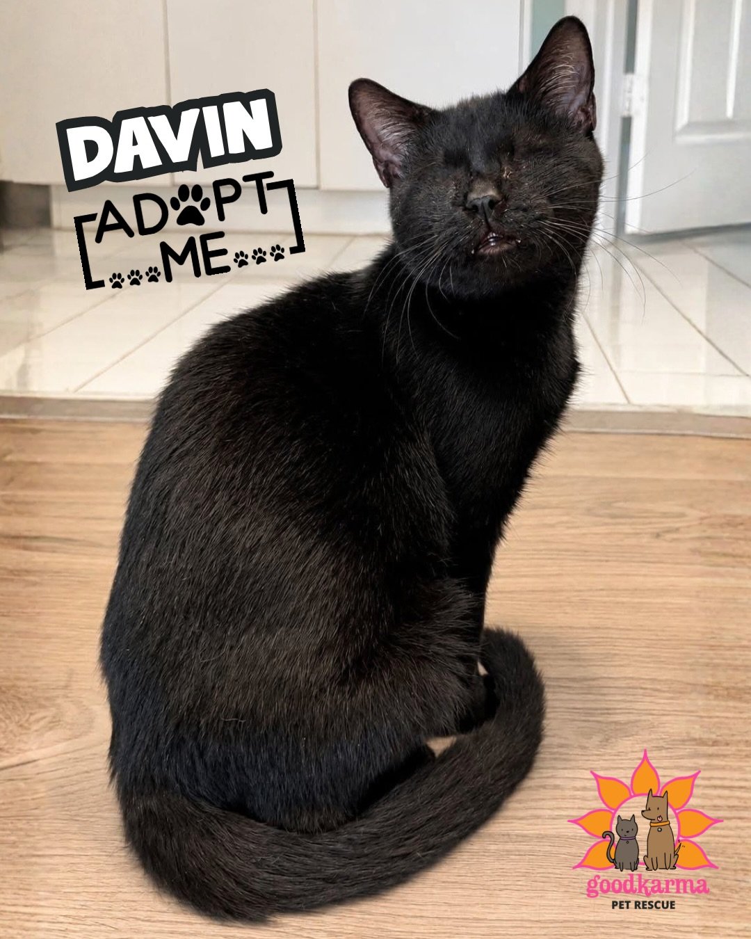 Imagine living every day in pain until someone finally gave you a chance. That was Davin&rsquo;s reality 💔

This sweet boy was found all alone outside, completely blind due to an untreated eye condition he was born with 🥺 The damage was so severe t