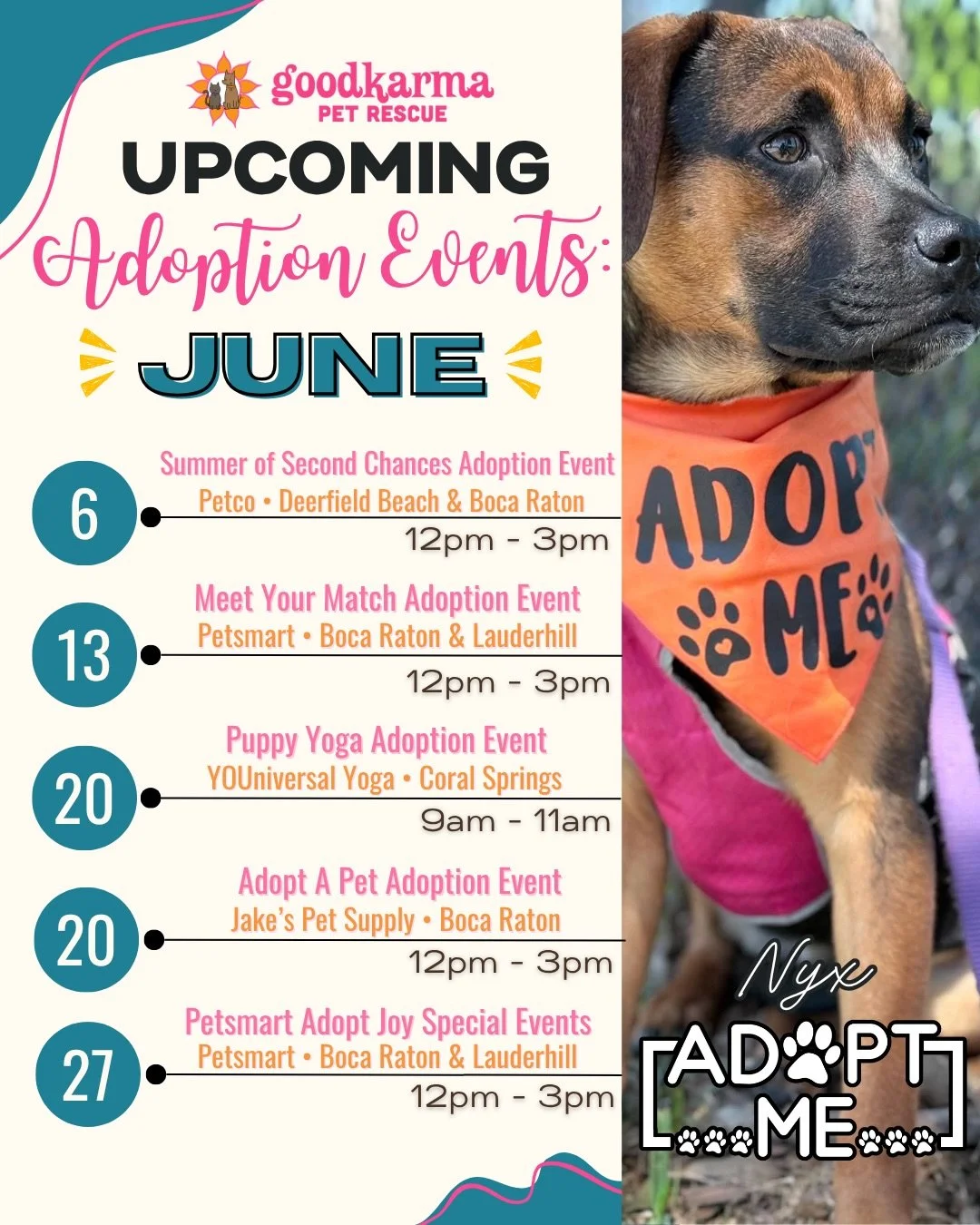 ☀️🐾 JUNE IS HERE&hellip; and so are our adoption events! 🐾☀️

Looking for your new best friend this summer? We&rsquo;ve got plenty of opportunities to meet some amazing rescue dogs and cats throughout June! From adoption events at Petco, PetSmart, 