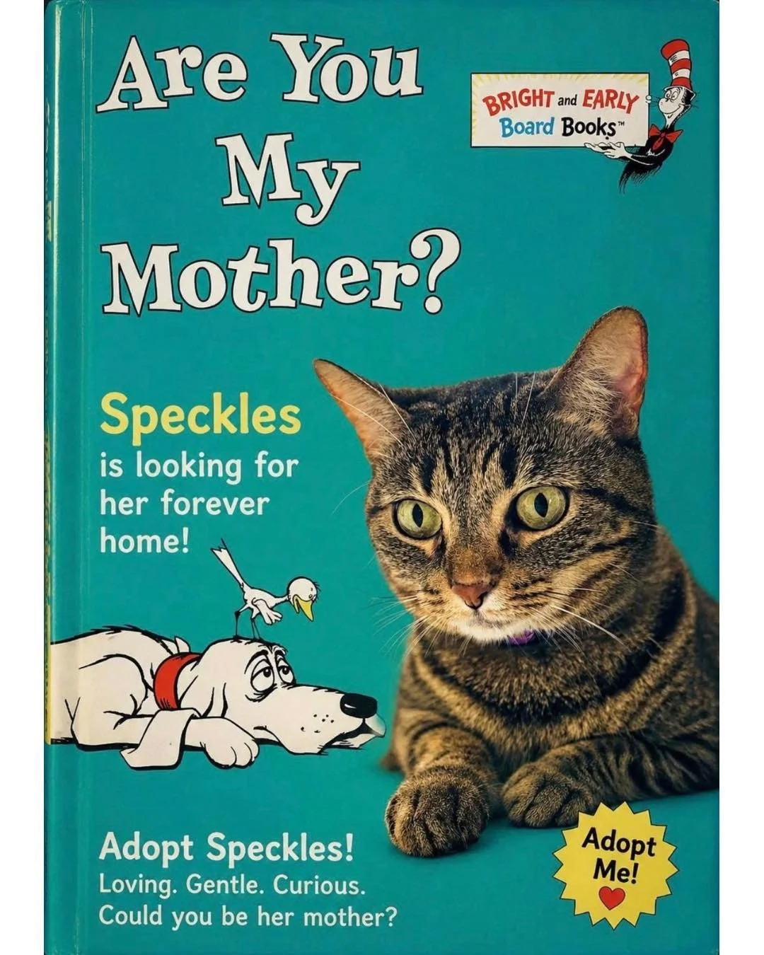 Are you my mother? 🥹

Sweet Speckles is hoping the answer is yes.

This adorable little tabby lost the only home she had ever known through no fault of her own when family allergies made it impossible for her to stay. Since then, she&rsquo;s been pa