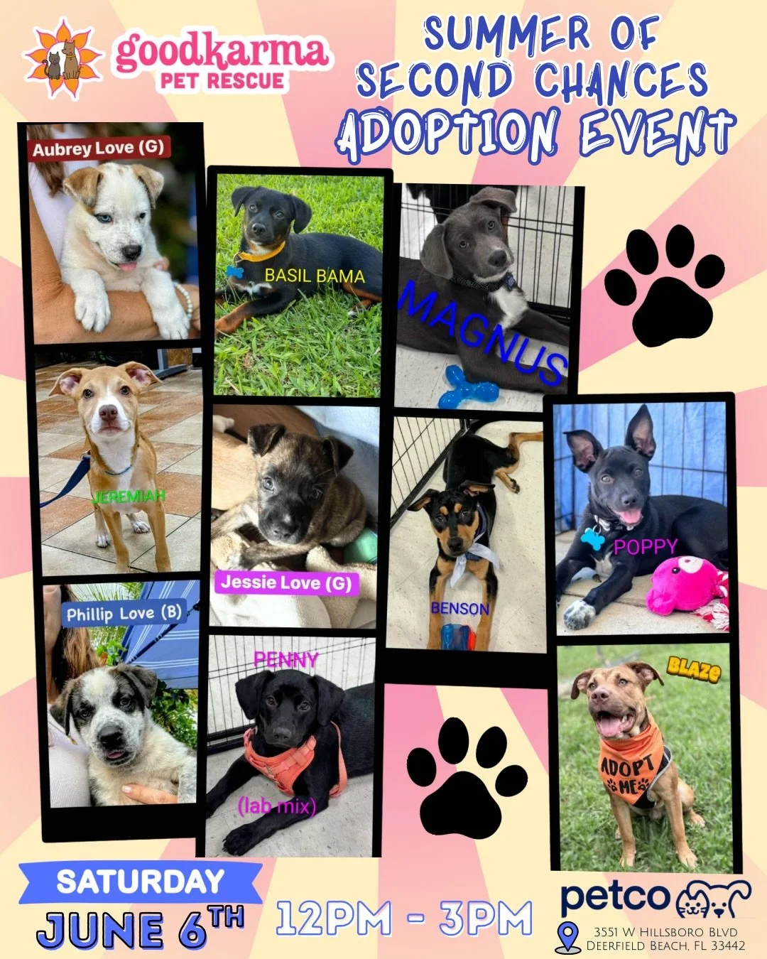 ☀️🐾 TODAY&rsquo;S THE DAY! 🐾☀️

Looking for something fun to do indoors this afternoon? Skip the Florida heat and come meet some adorable pets who are ready for their forever homes! 💙

🏖️ Summer of Second Chances Adoption Event
📅 Today | Saturda