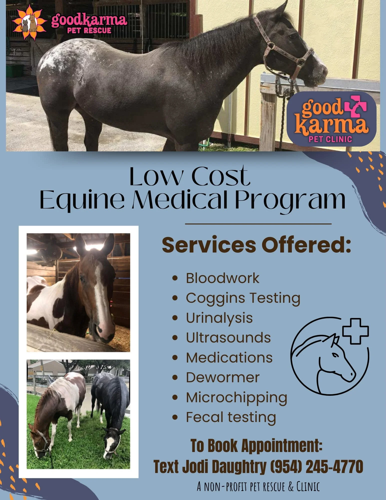 Flyer advertising lower cost equine veterinary services in Fort Lauderdale an surrounding areas