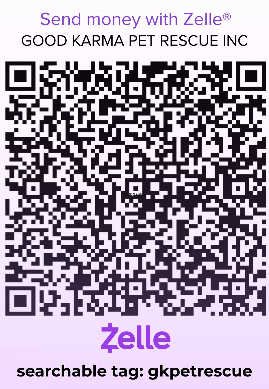 A donation QR code for Good Karma Pet Rescue Inc, with instructions to send money via Zelle, and a searchable tag: gkpetrescue.
