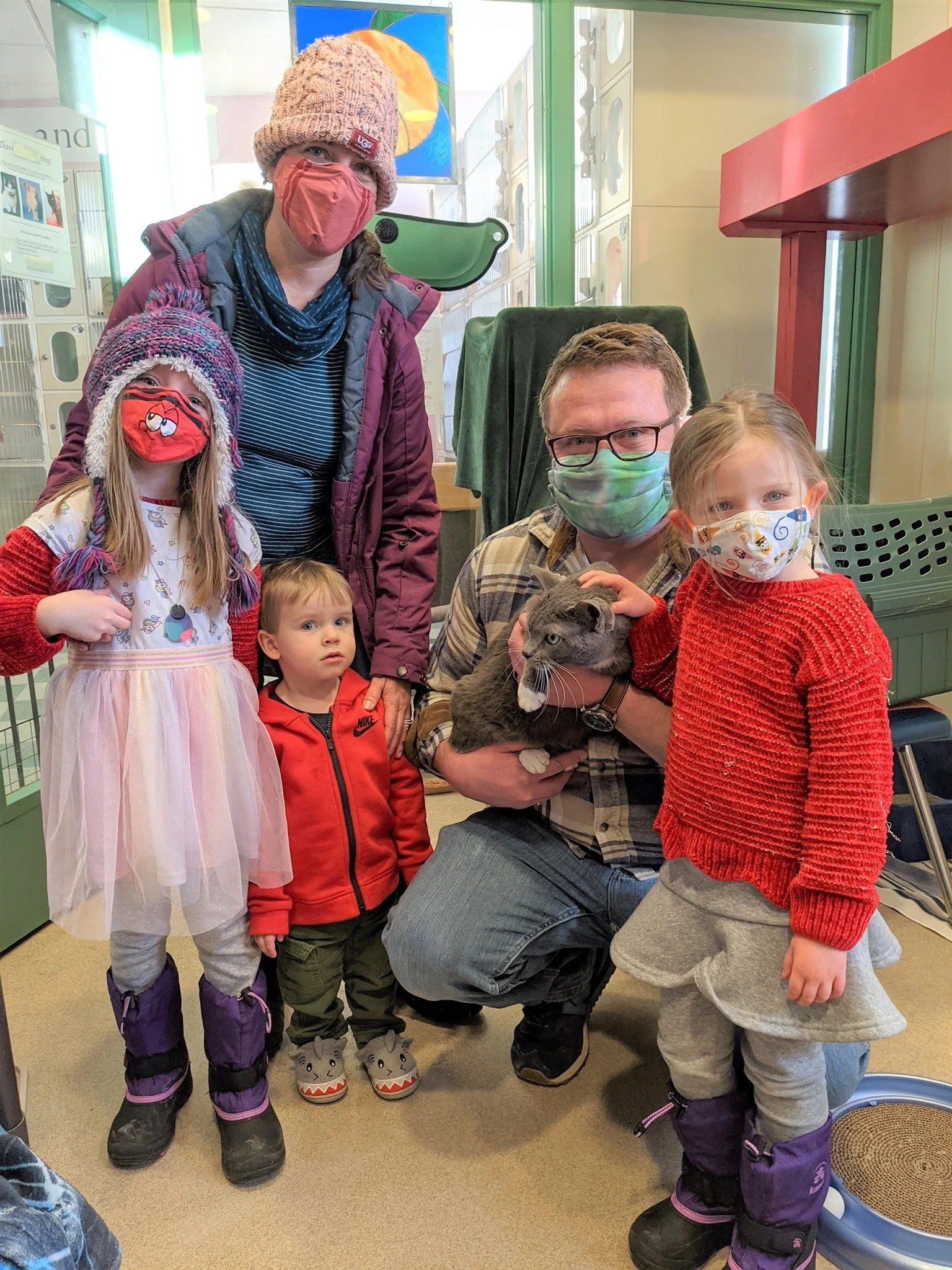 It's not every day you see a Good Karma cat being adopted by a family in coats and hats!
Sometimes we get pics of our relocated cats looking out the window at a winter wonderland. We love it!