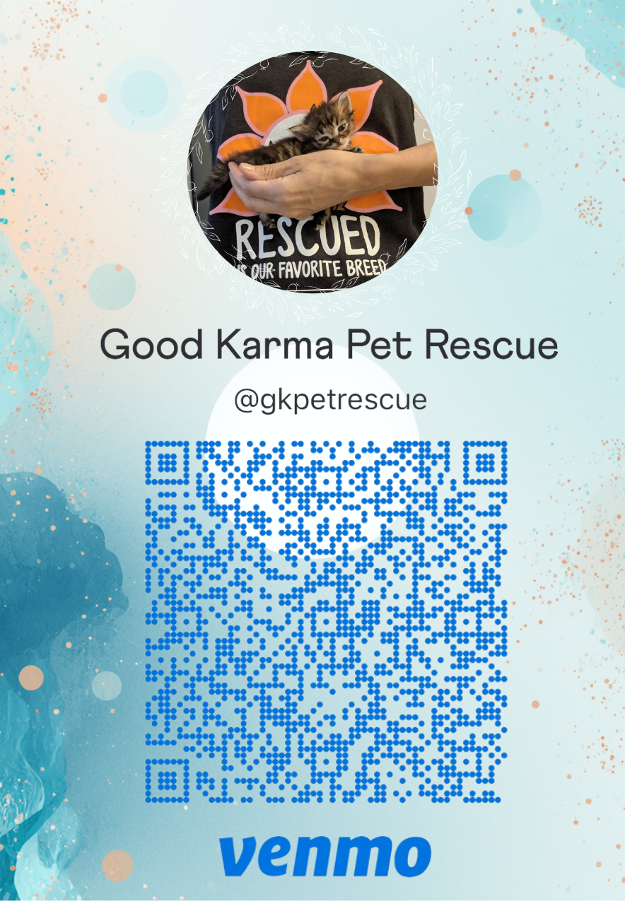 A pet rescue organization card featuring a kitten being held by a person. The background is light blue with splashes of darker blue and orange. The organization is called Good Karma Pet Rescue, with their Instagram handle @gkpetrescue and a blue Venmo QR code for donations.