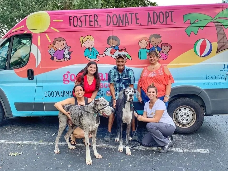 Group of people with a Great Dane in front of a colorful van promoting a pet adoption and foster program. The van has illustrations of children, animals, a palm tree, and a beach ball, with the phrases 'Foster. Donate. Adopt.'