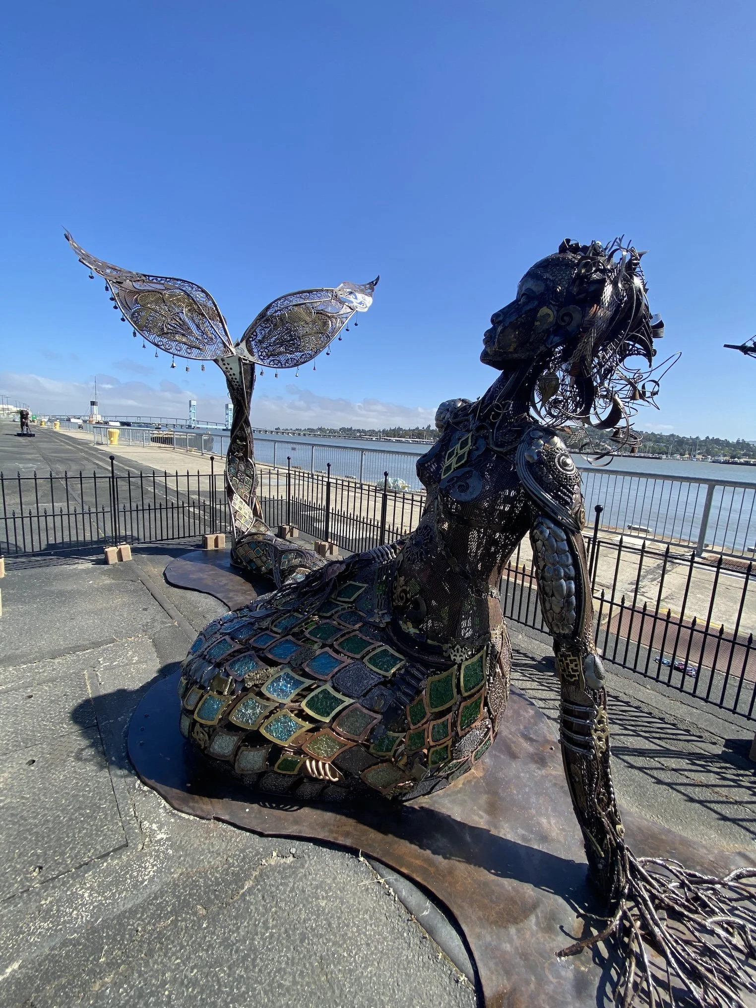 CORALEE by Dana Albany