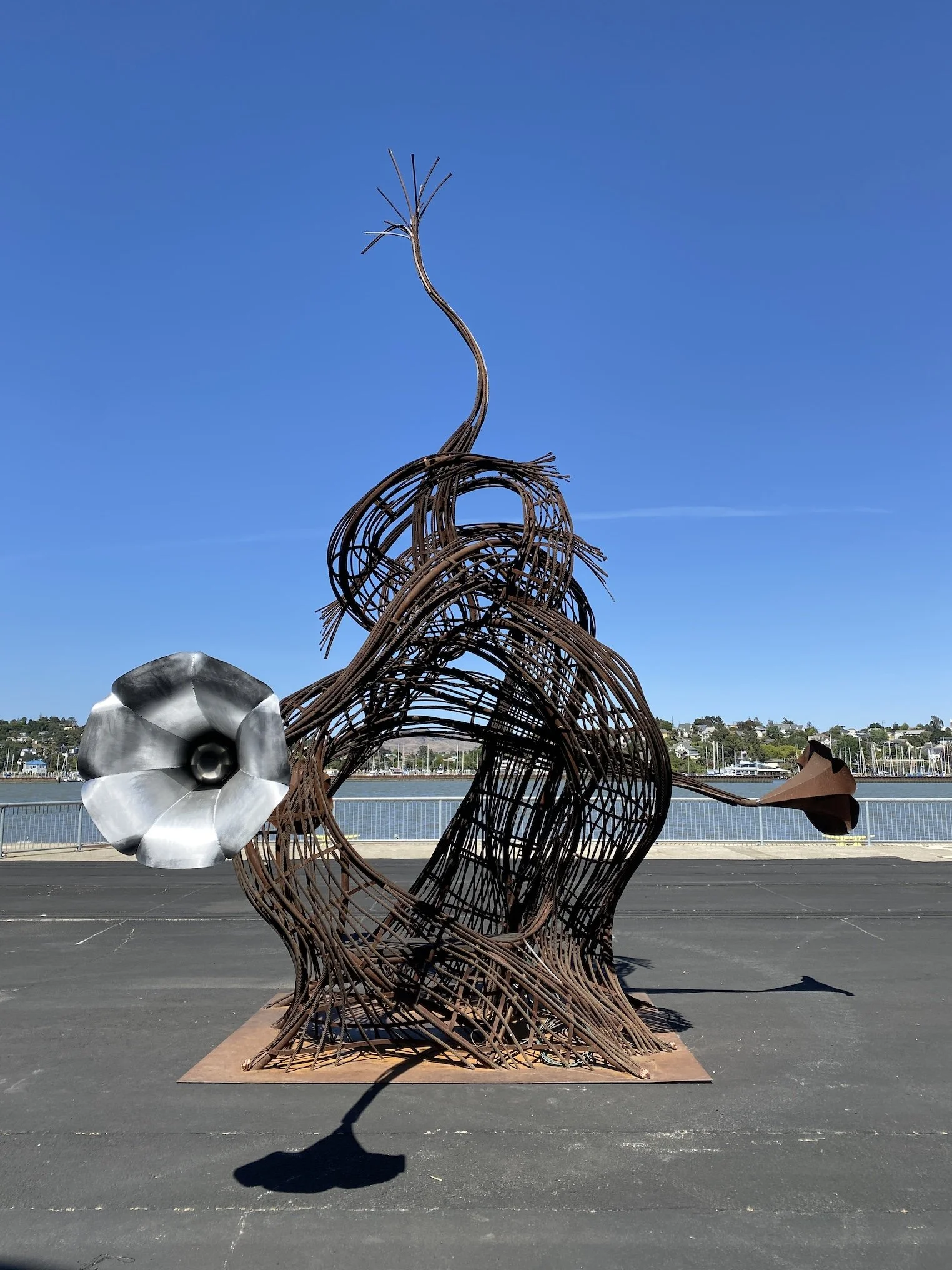 PACHYDERM by Karen Cusolito