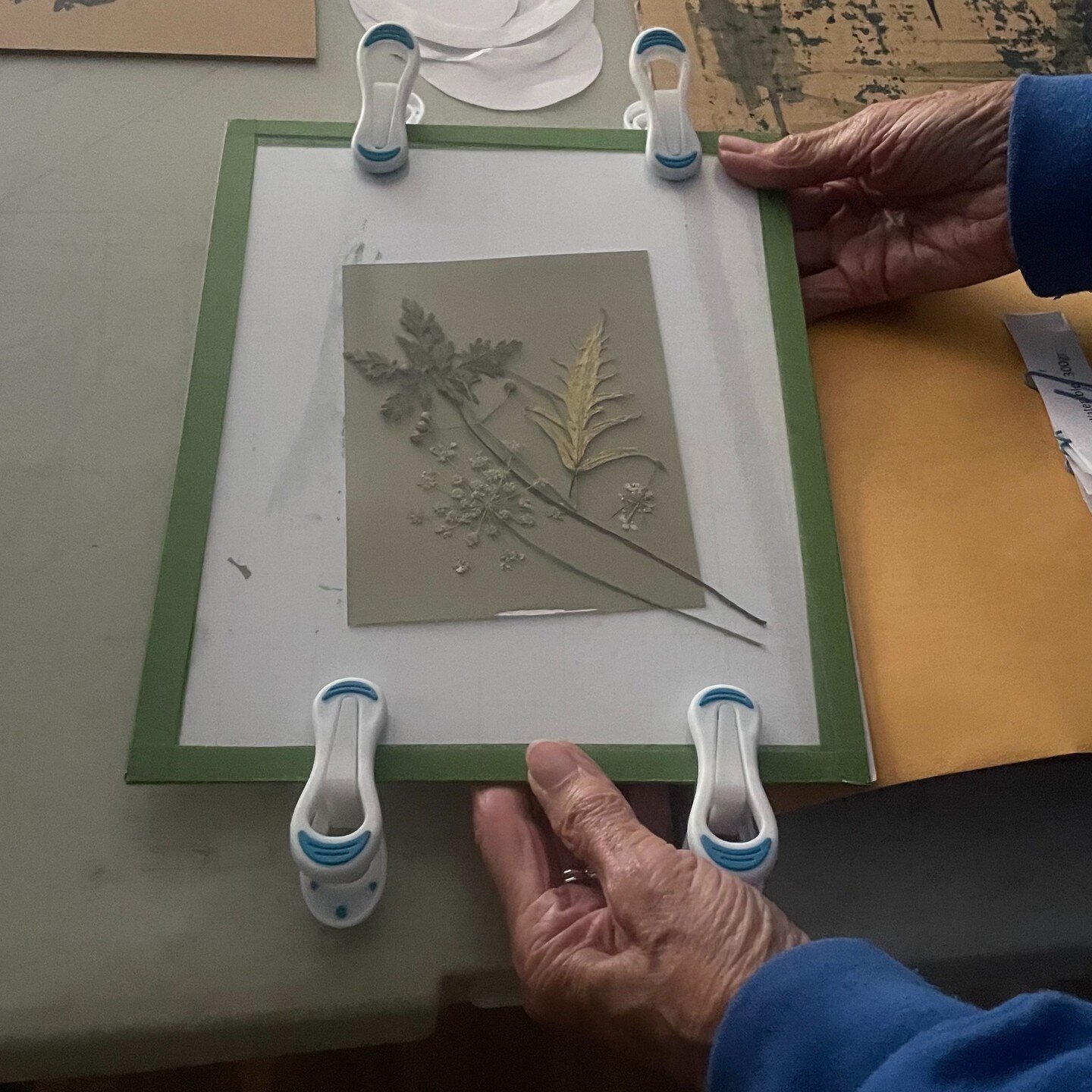 Another rewarding #cyanotype workshop took place in my art studio yesterday.&nbsp;

We started creating the basic cyanotype process using the UV light. We are in the fall in Ontario. It was a cold day and the sun was weak. So we had to use the UV lam