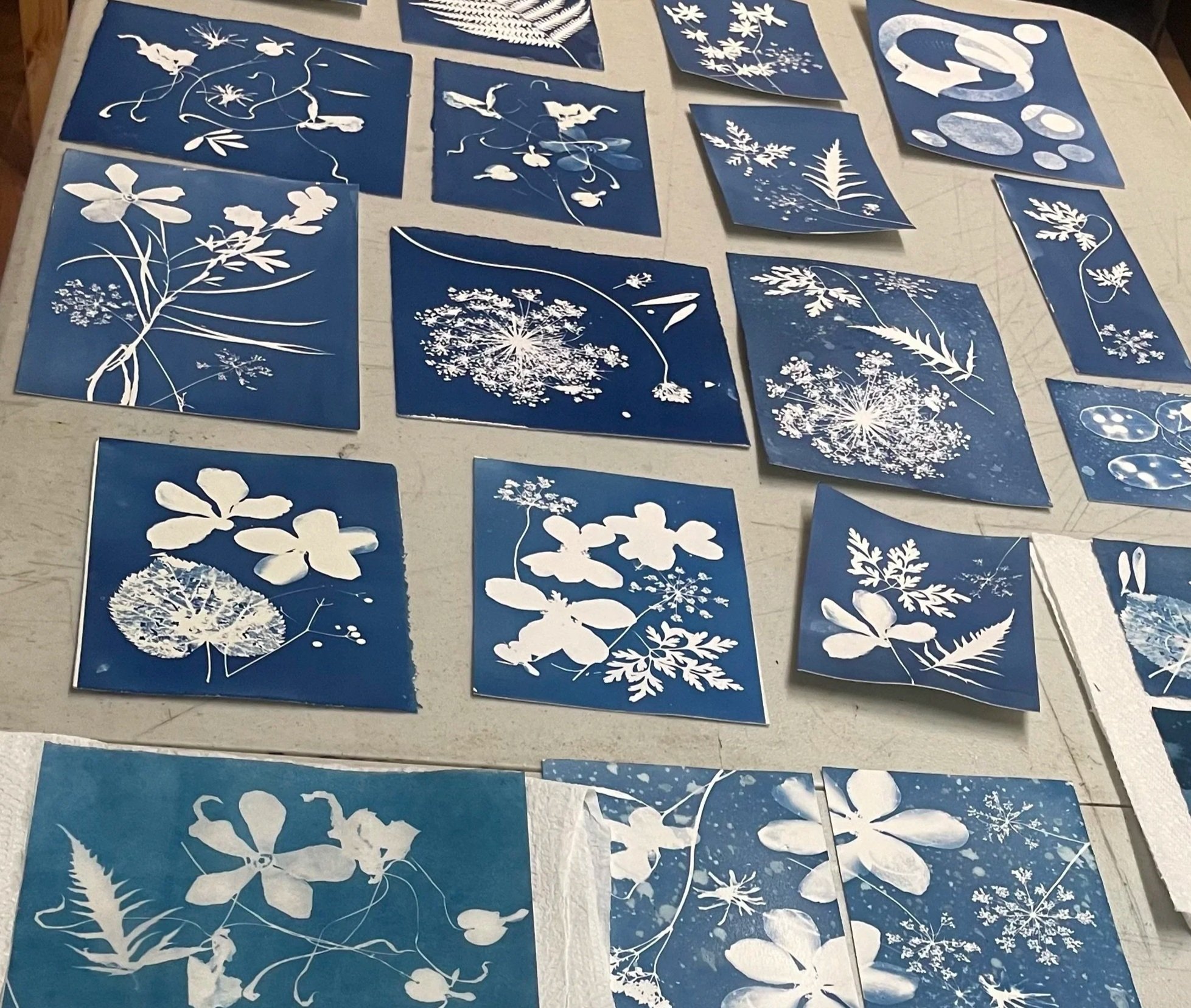 Workshop: Unique Cards Inspired by Nature and Light