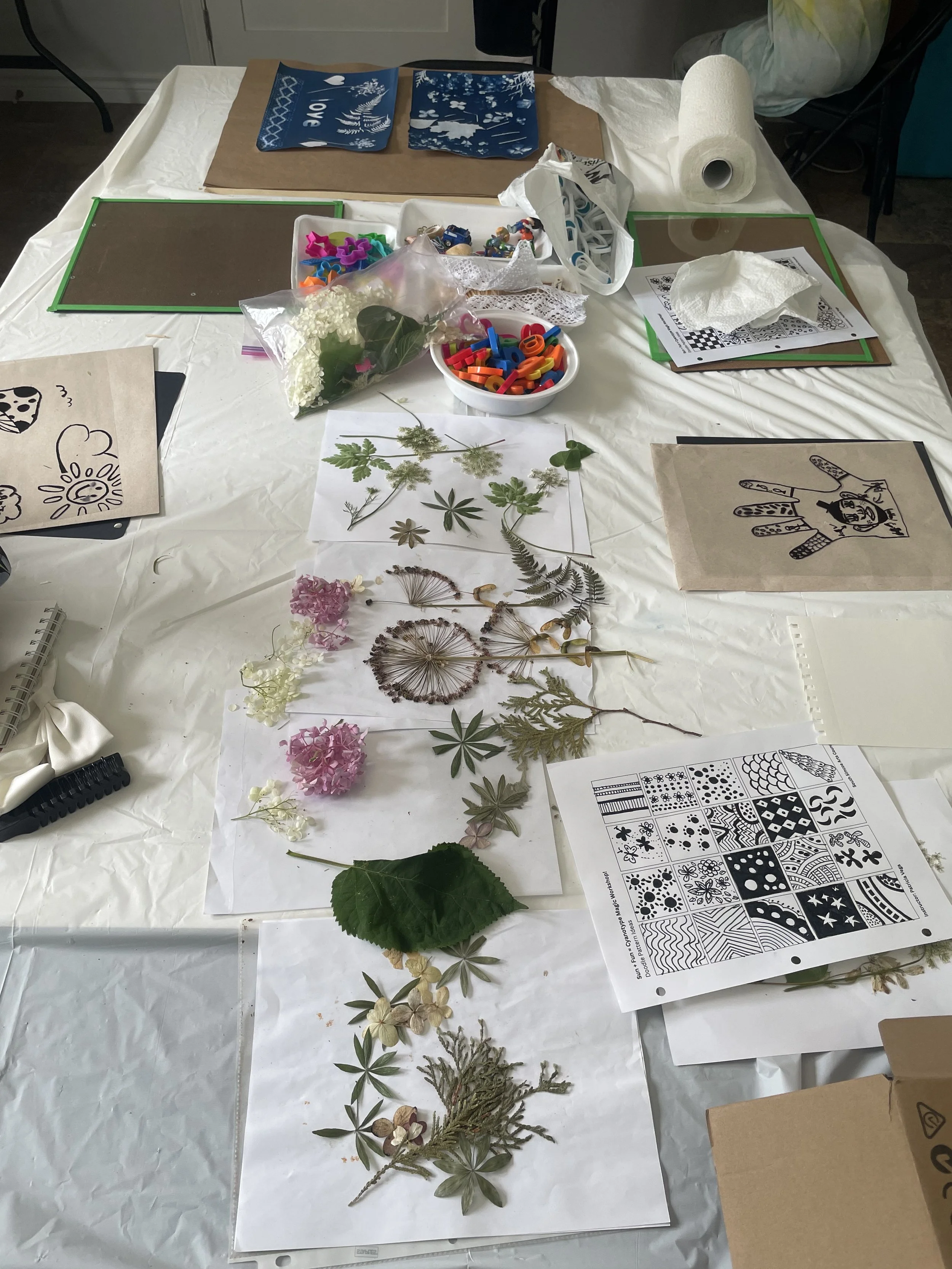 Photo 2025-07-31, 2 10 38 PM.jpg