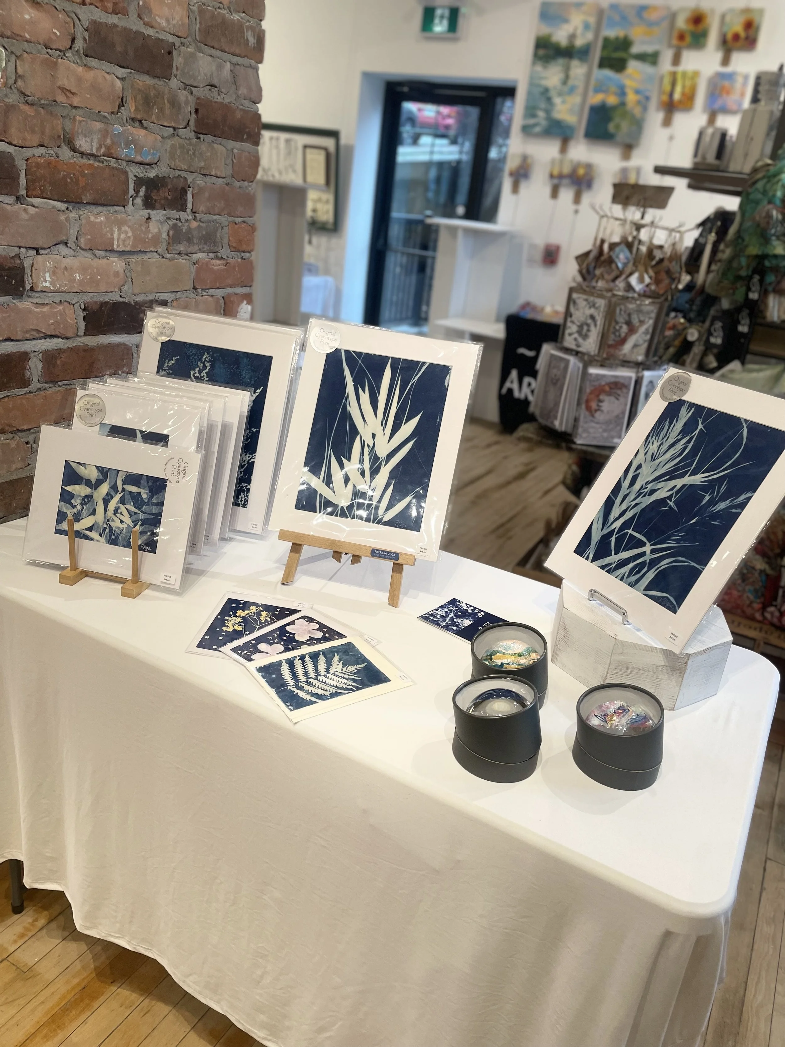 Photo 2024-11-05, 12 20 32 PM.jpg